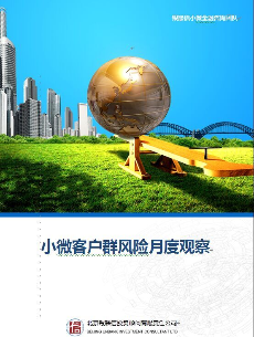 小微客户群风险月度观察