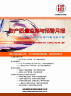 资产质量监测与预警月报